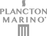 plancton marino